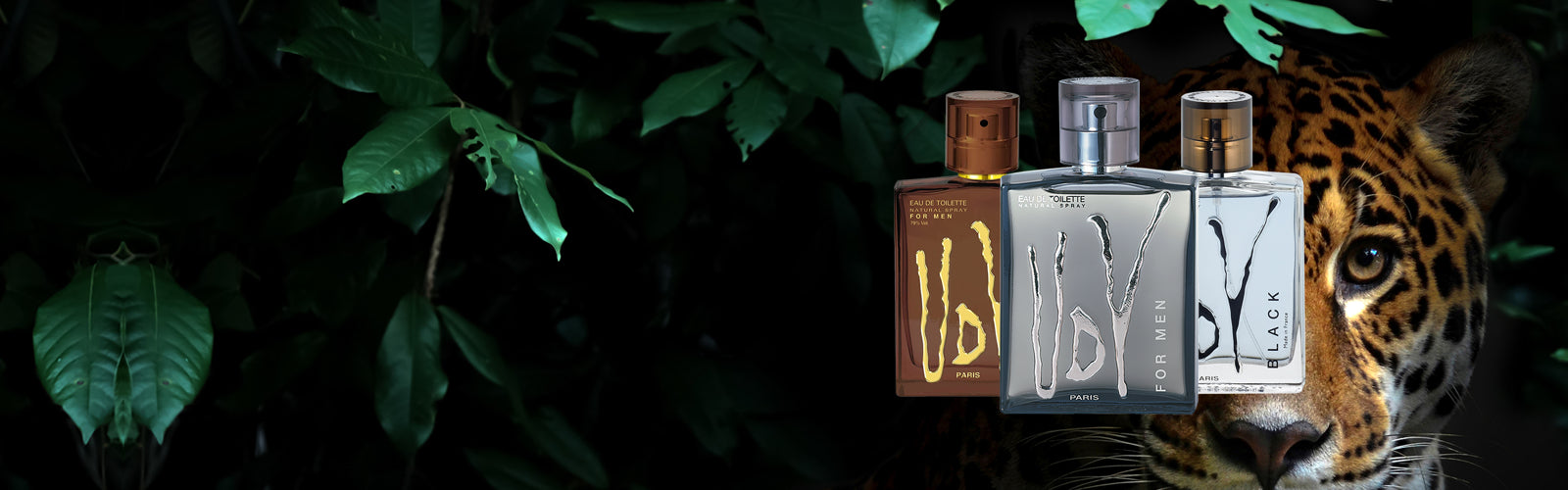 UDV für Männer – Ulric de Varens – – – – –