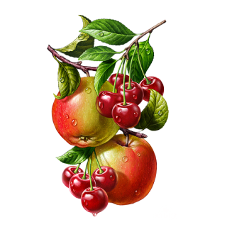 Illustration d'une branche avec deux pommes et plusieurs cerises rouges aux feuilles vertes. Les fruits et les feuilles semblent frais avec des gouttes d'eau visibles à leur surface. Un petit logo avec le mot "ArtyTalks" et un motif de fruits se trouve dans le coin inférieur droit.